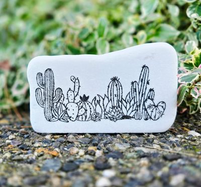 Cacti &amp; Succulent Clusters