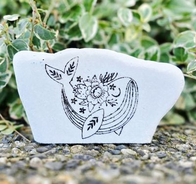 Gentle Giants of the Sea