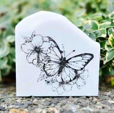 Backyard Butterflies