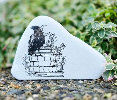 Clever Crows &amp; Ravens