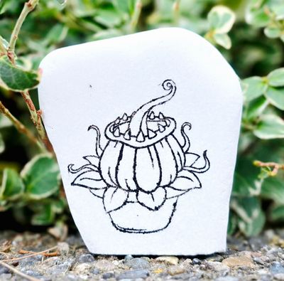 Wild &amp; Wonderful Plants