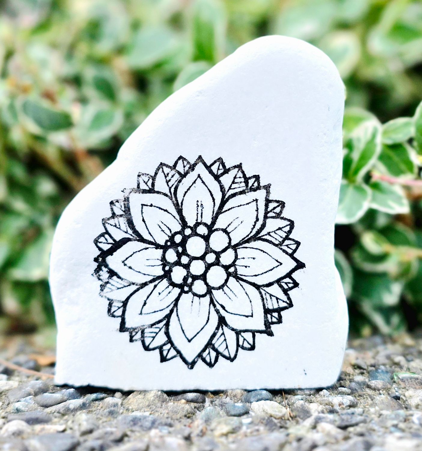 Bubble Centered Sunflower