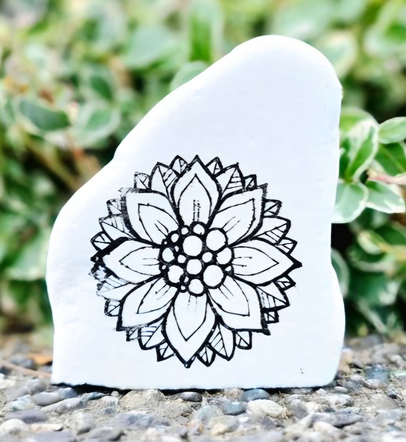 Bubble Centered Sunflower