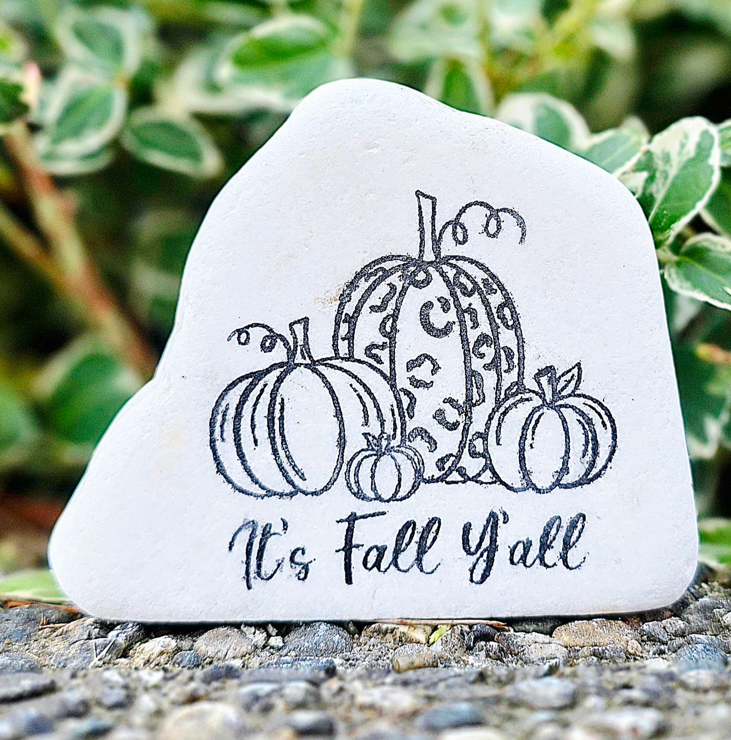 Its Fall Y'all Its Fall Y'all