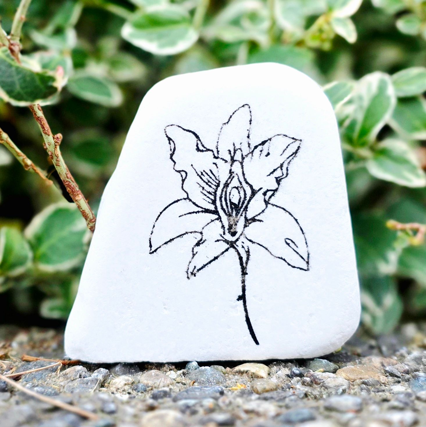 Petal Sanctuary Petal Sanctuary