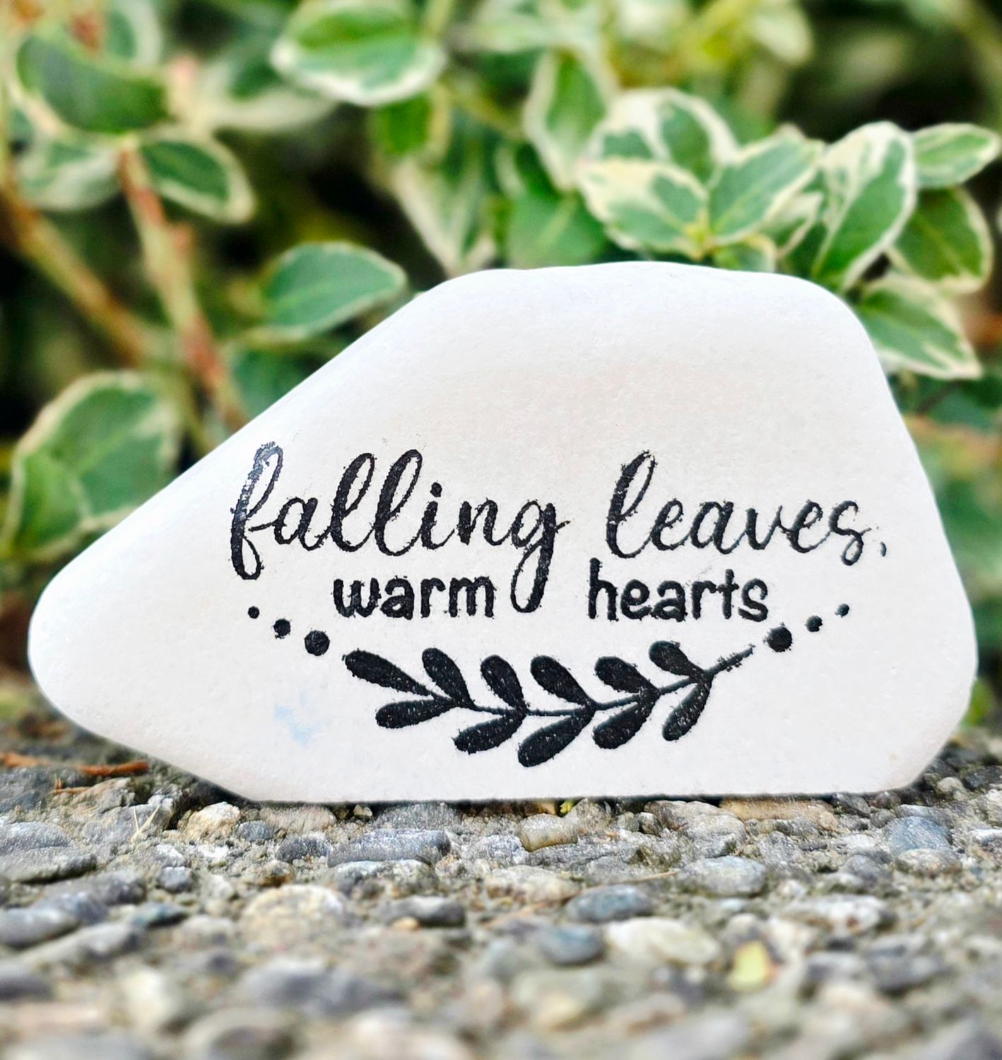 Falling Leaves, Warm Heart