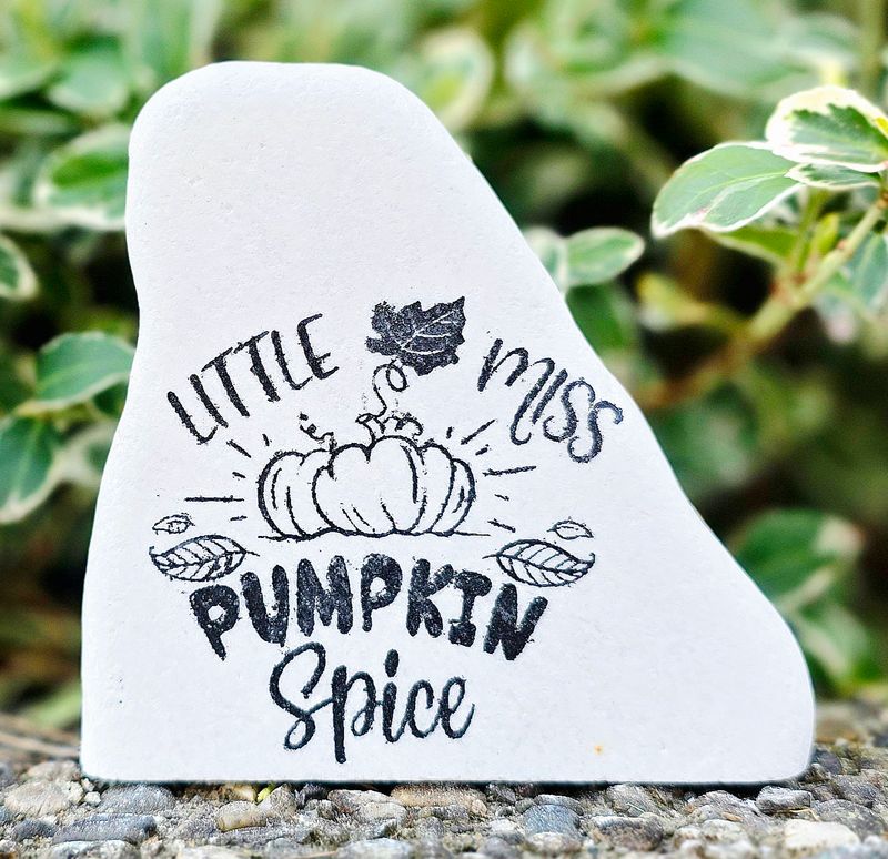 Little Miss Pumpkin Spice