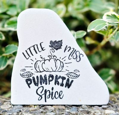 Little Miss Pumpkin Spice