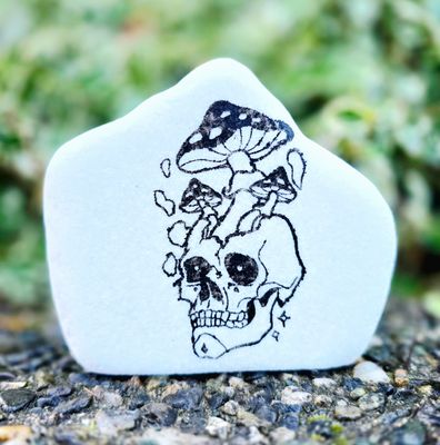 Fungal Skull