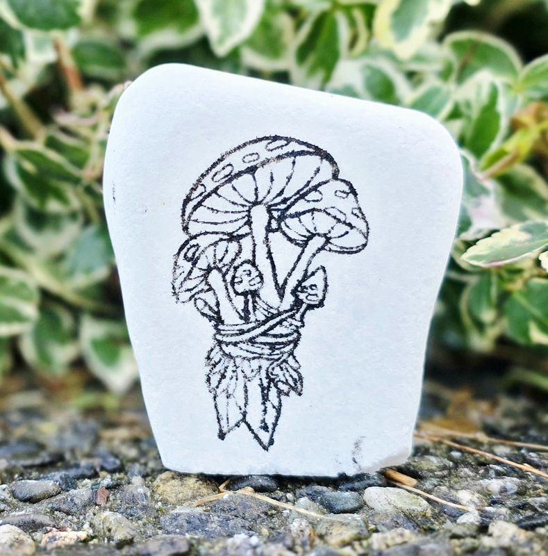 Mushrooms and crystals