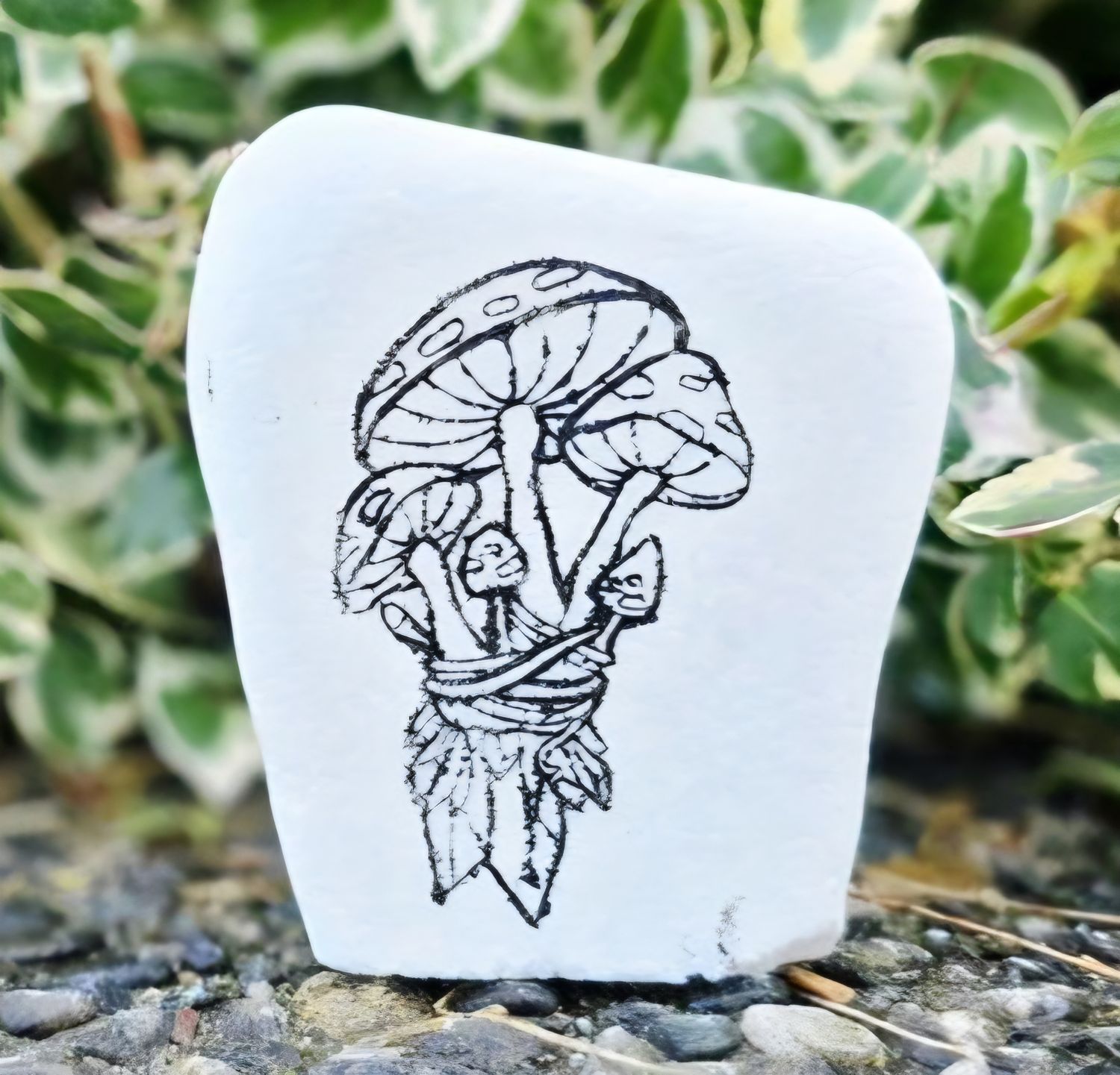 Mushrooms and crystals