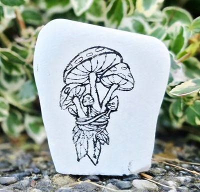 Mushrooms and crystals