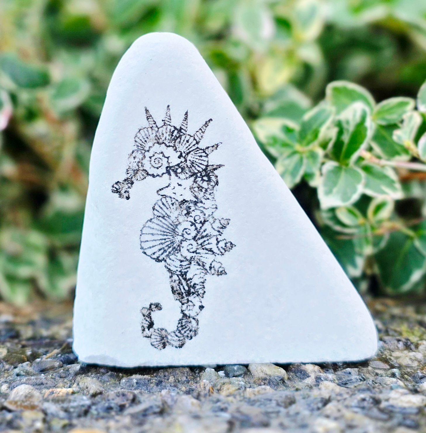 ​Coral Curl Seahorse