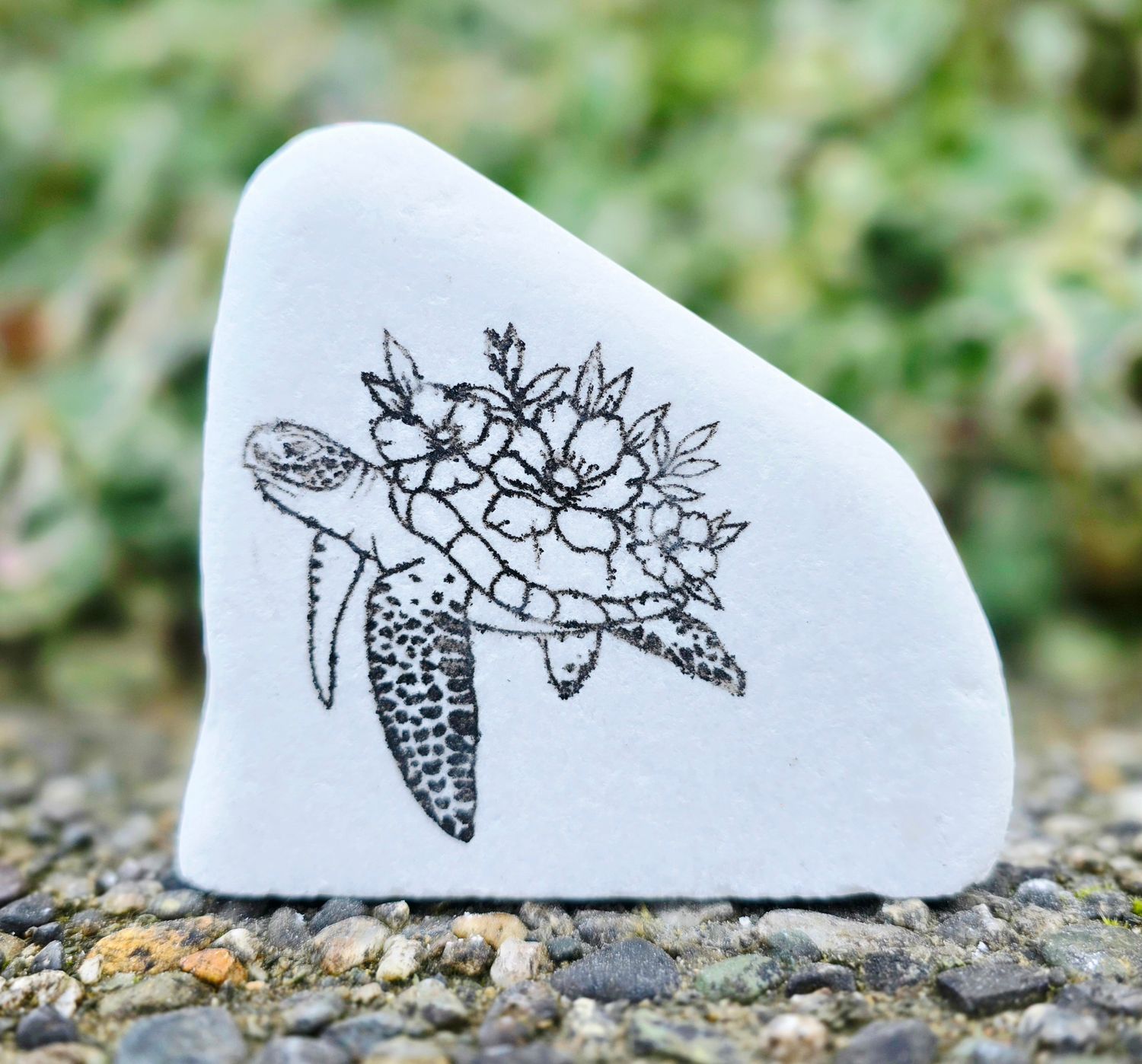 Floral Drift Turtle