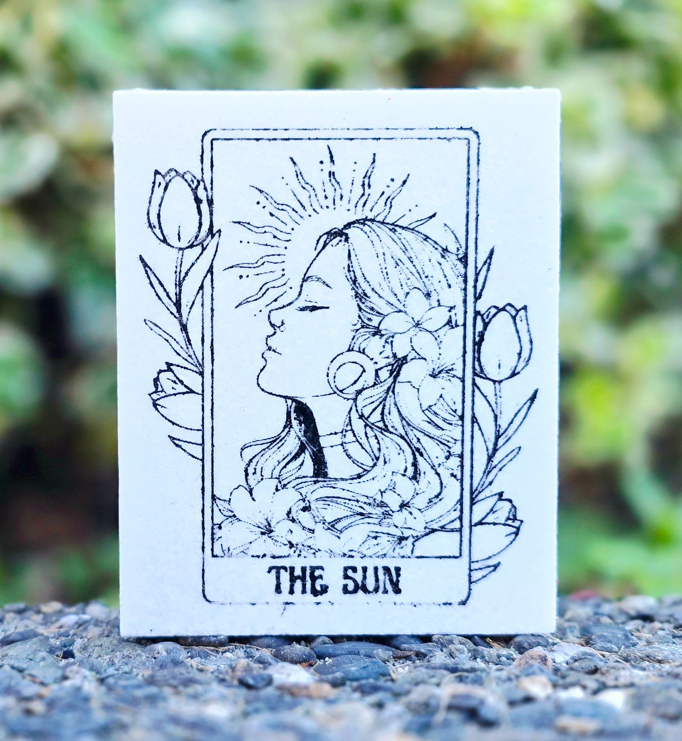 The Sun