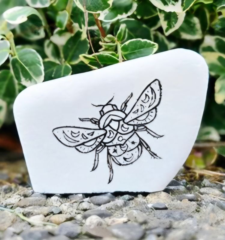 Sacred Pattern Beetle