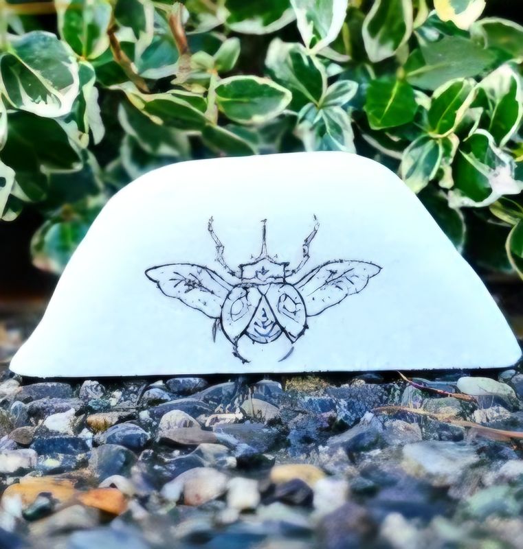 Mandala Beetle