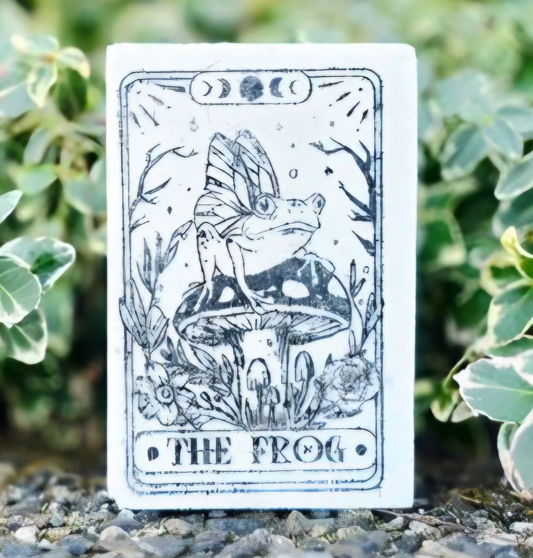 The Frog