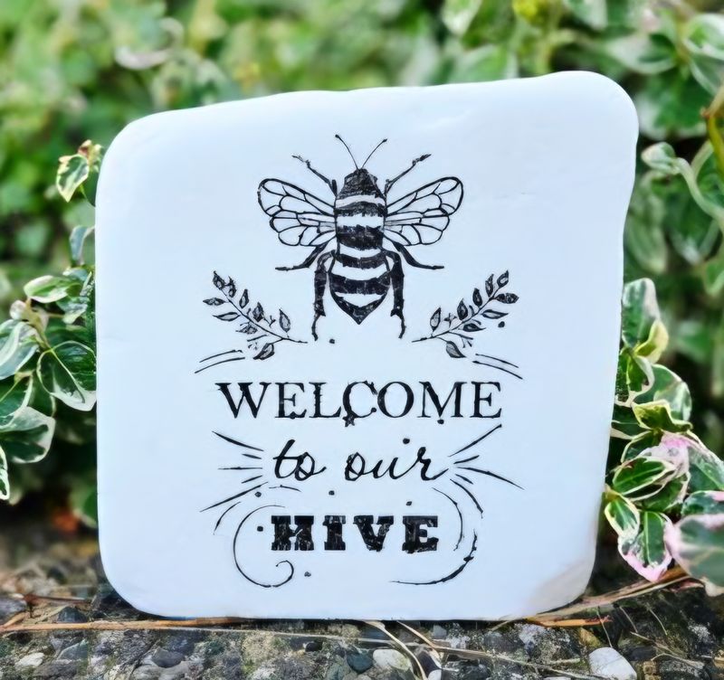 Welcome to Our Hive