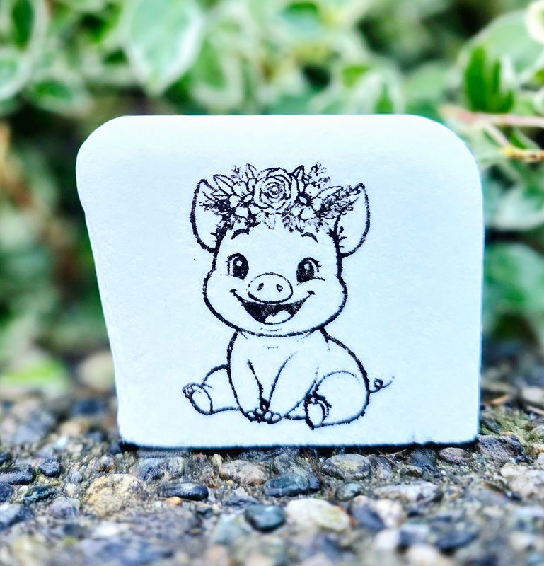 Little Piggy Sweetness