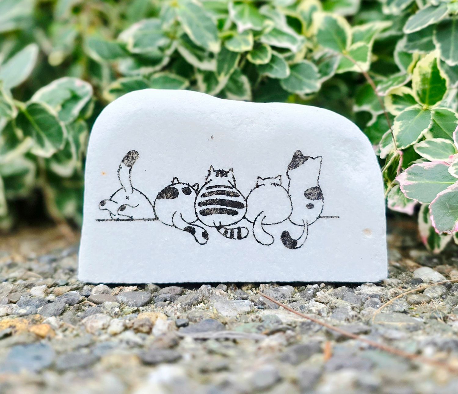 Ledge Lounge Kitties