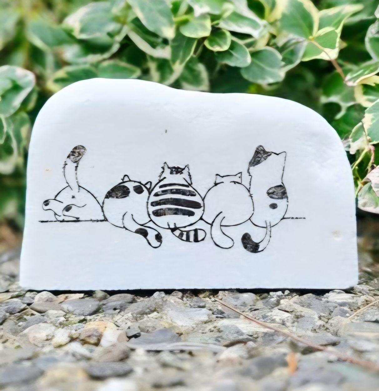 Ledge Lounge Kitties