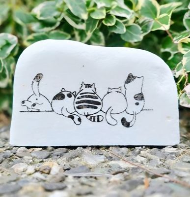 Ledge Lounge Kitties