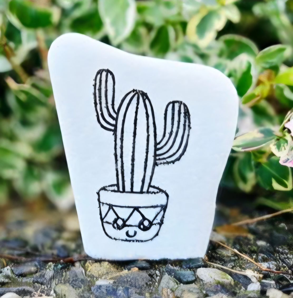 Little Saguaro Smile