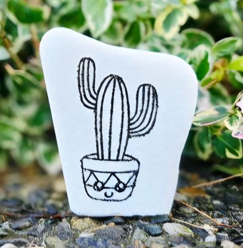 Little Saguaro Smile