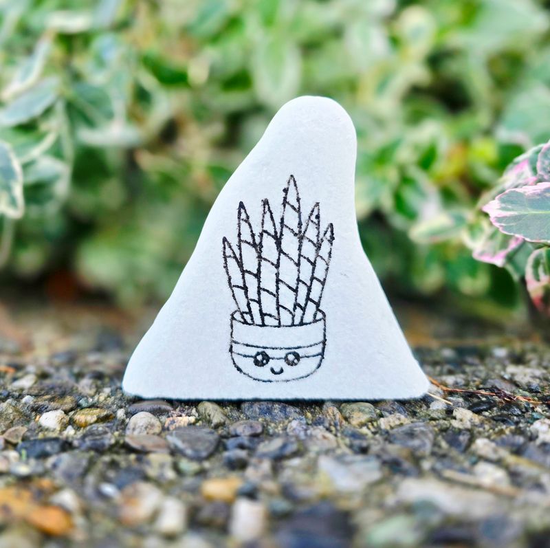 Happy Little Snake Plant