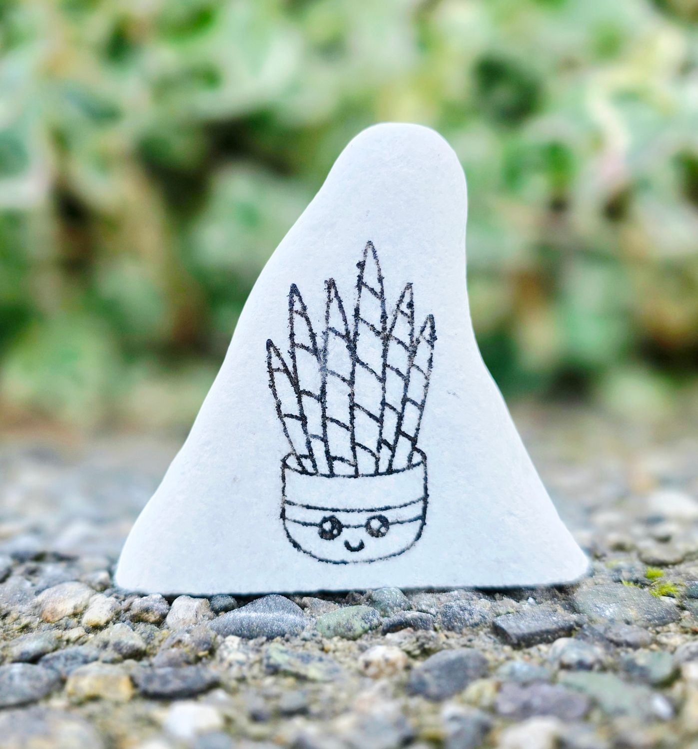 Happy Little Snake Plant