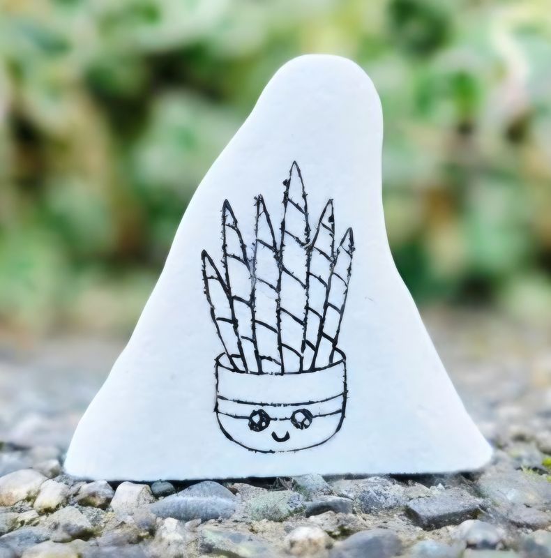 Happy Little Snake Plant