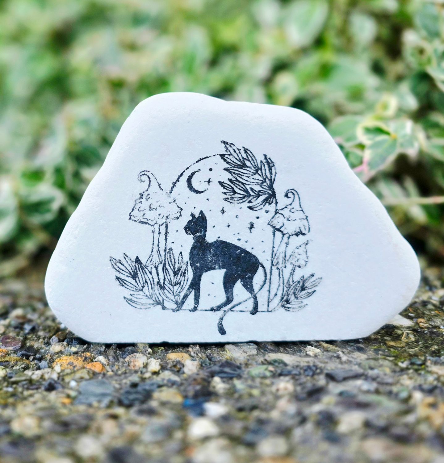 Midnight Window Watcher