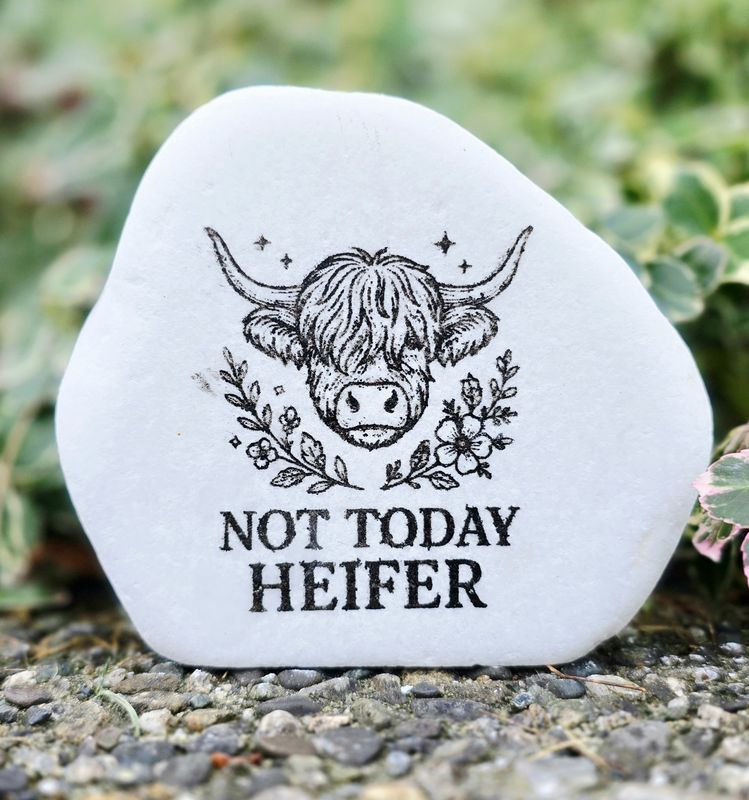 Not Today Heifer