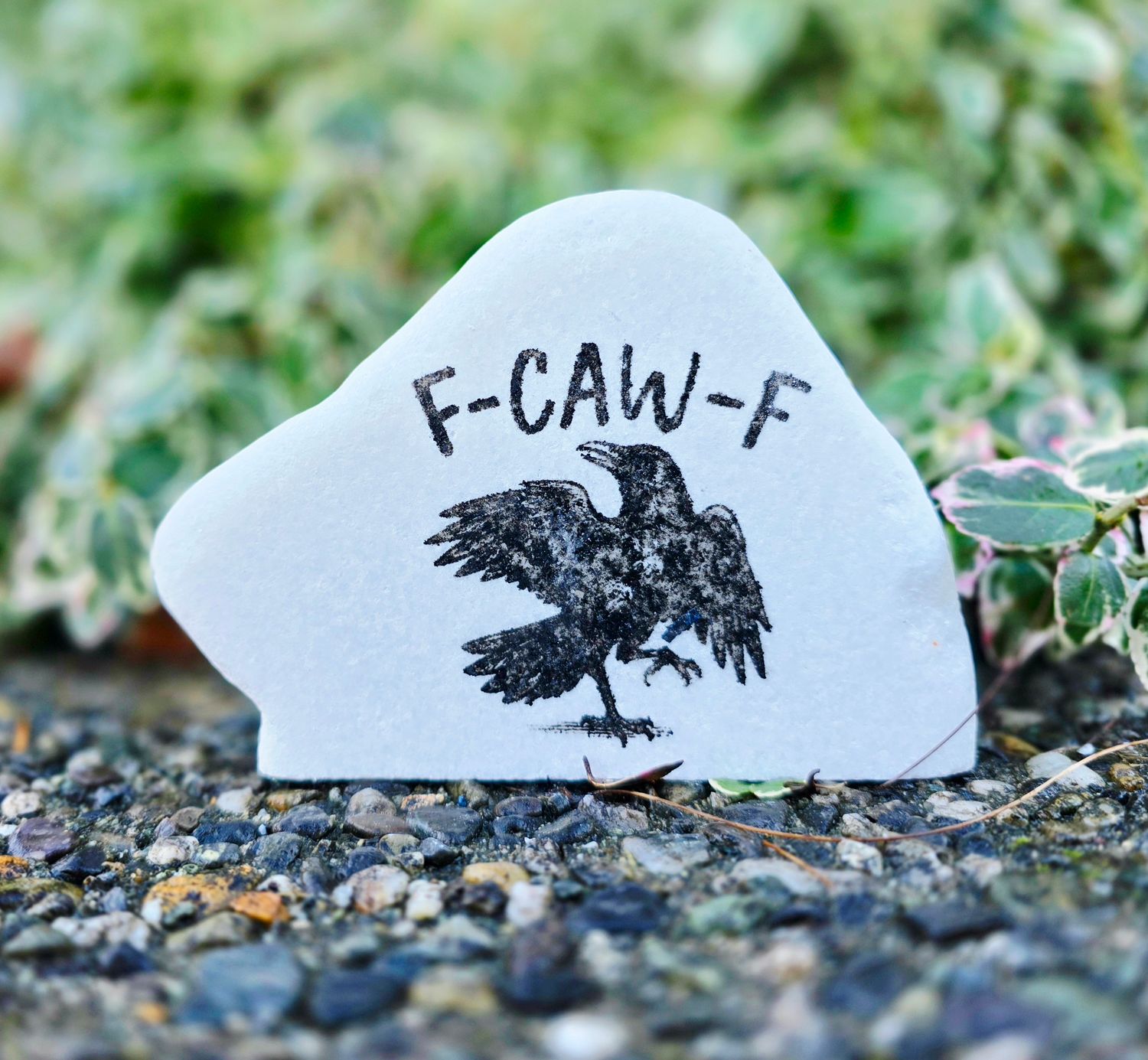 F-Caw-F Crow