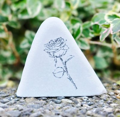Everlasting Bloom