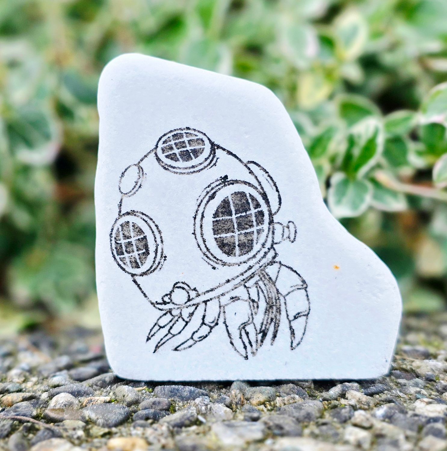 Deep Sea Diver Hermit