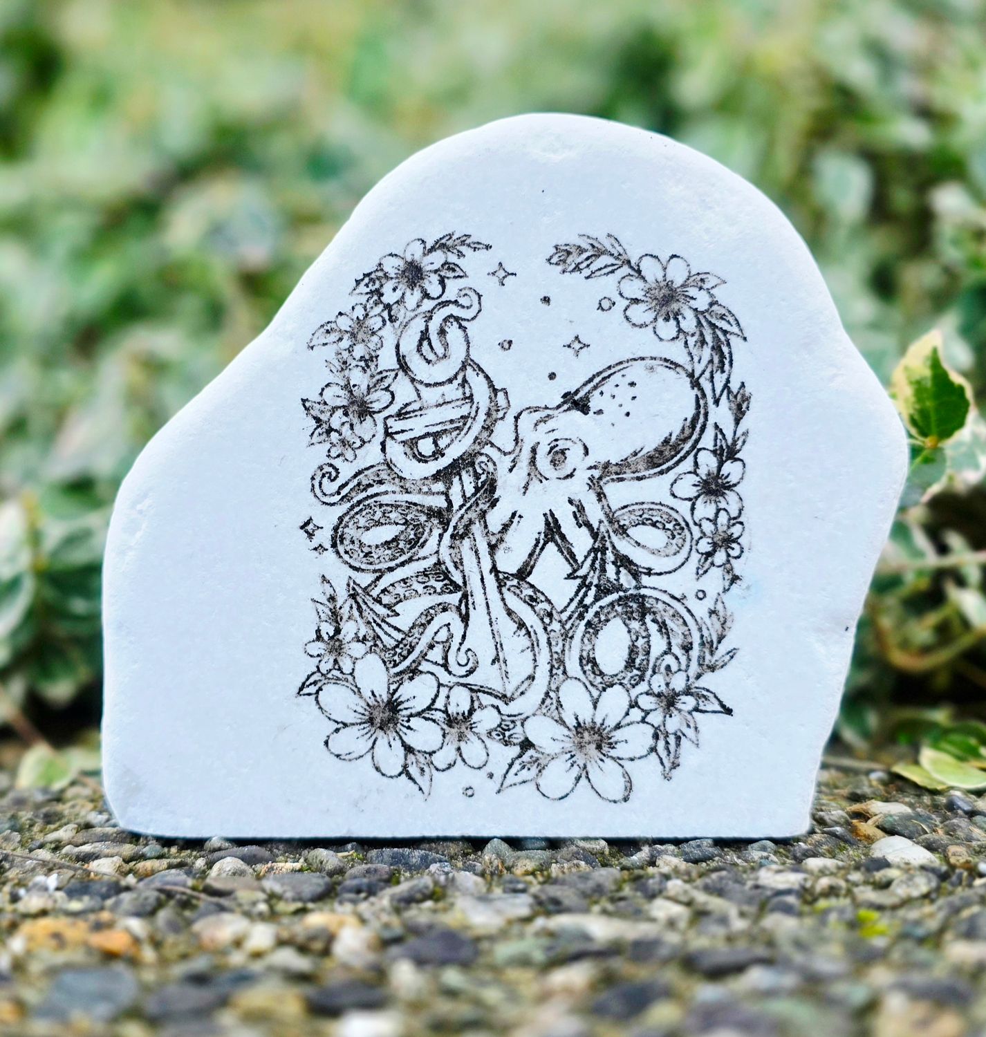 Blooming Anchor Octopus