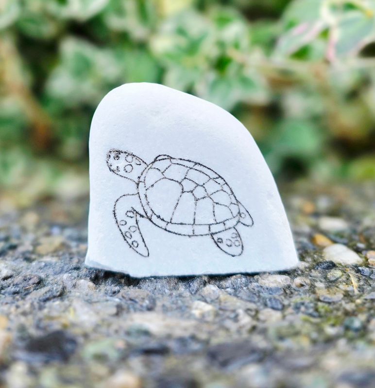 Tiny Tide Turtle
