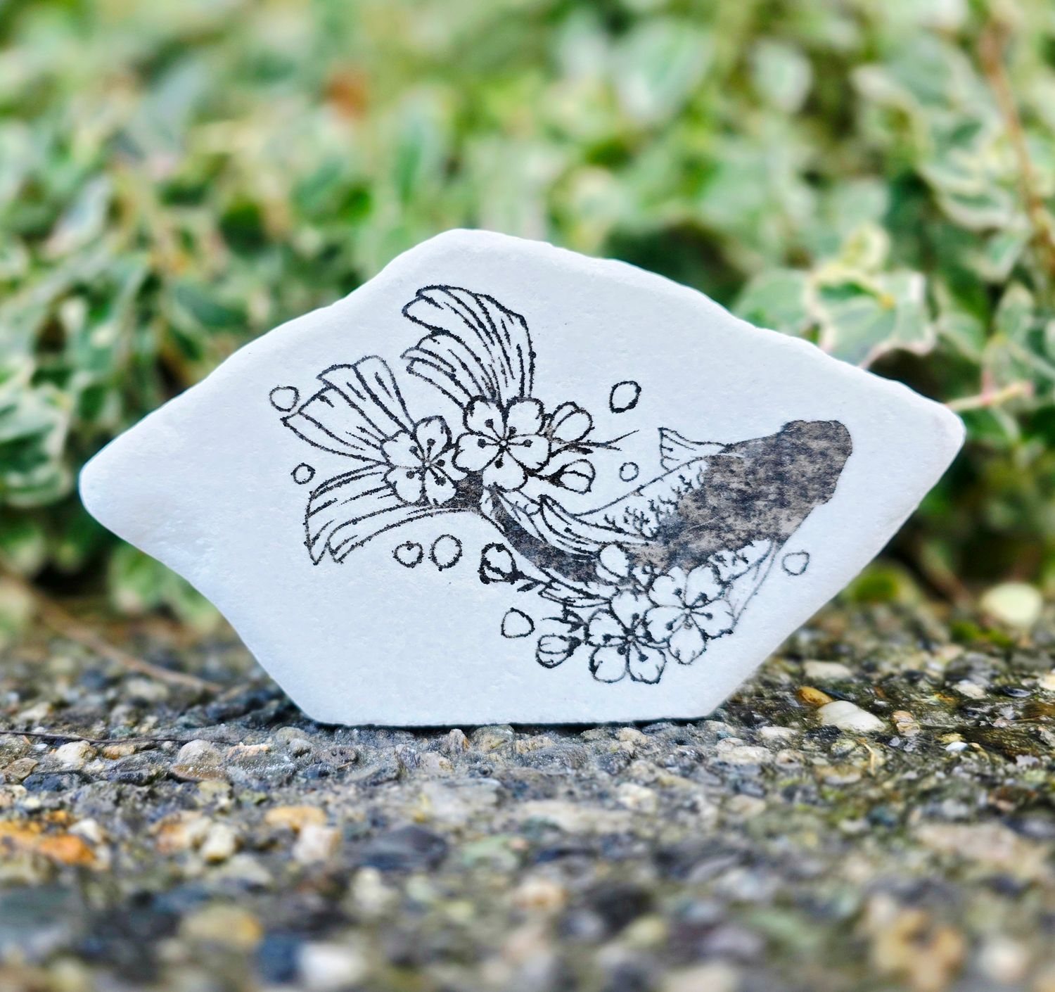 Petals &amp; Current