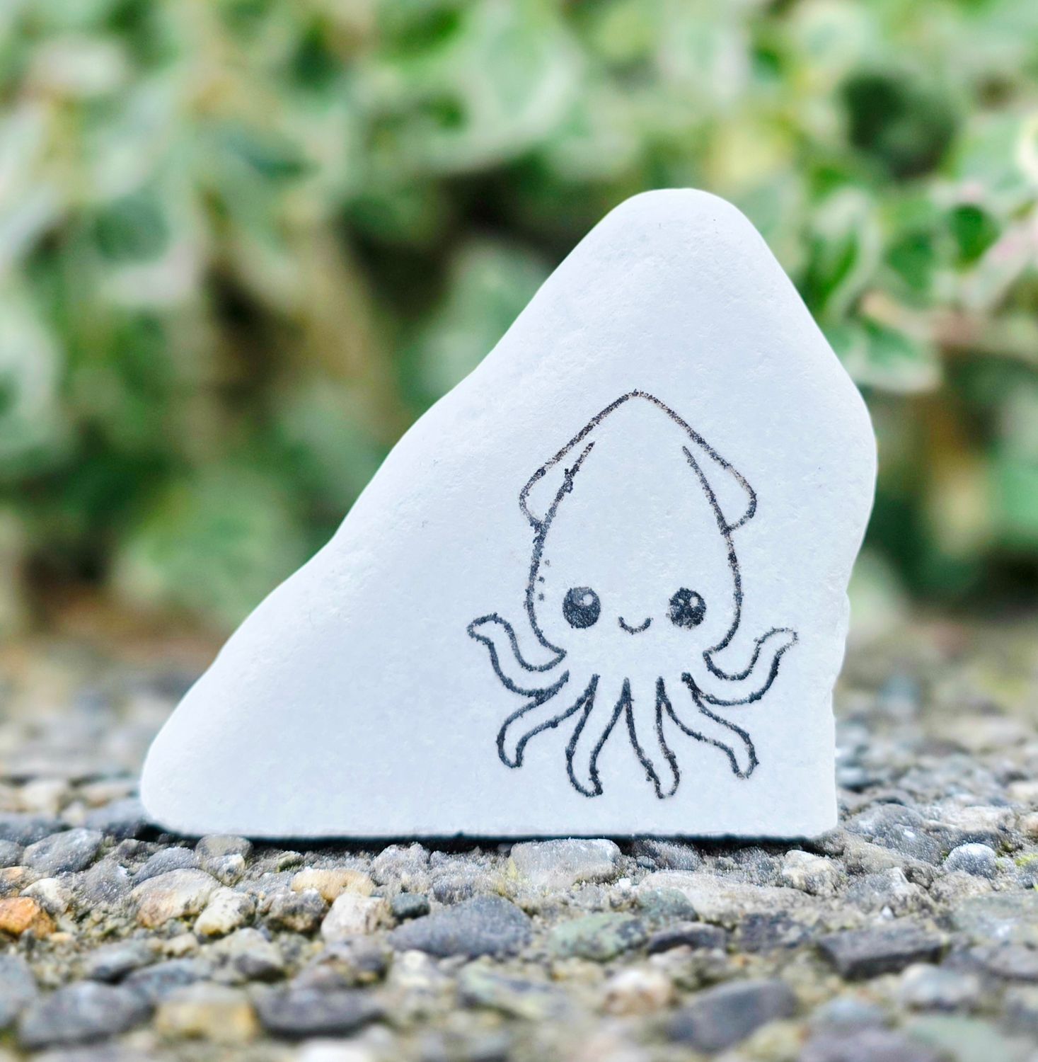Squiddy Cutie