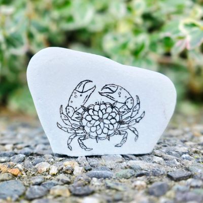 Ocean Harmony Crab