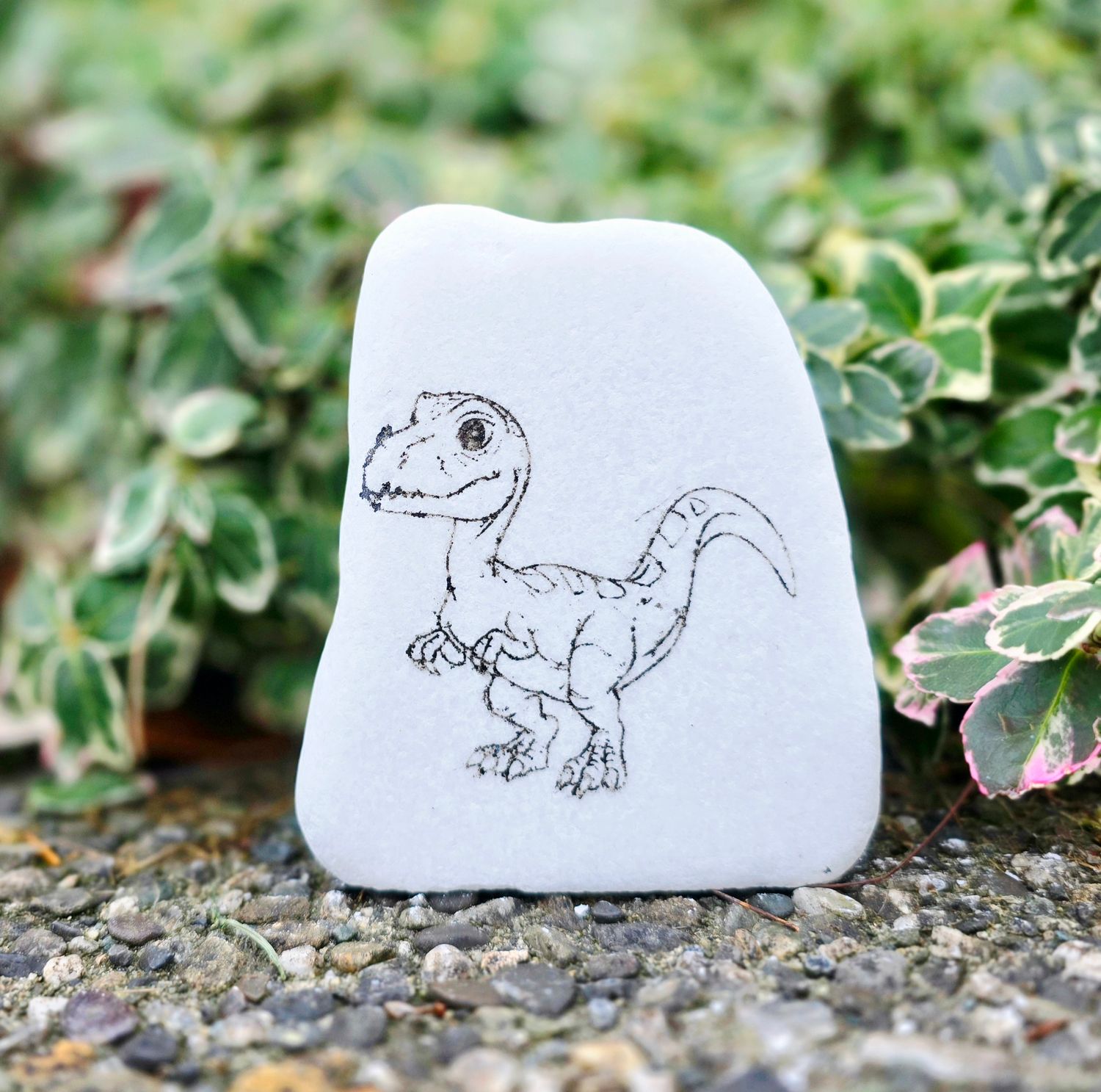 Tiny Dino