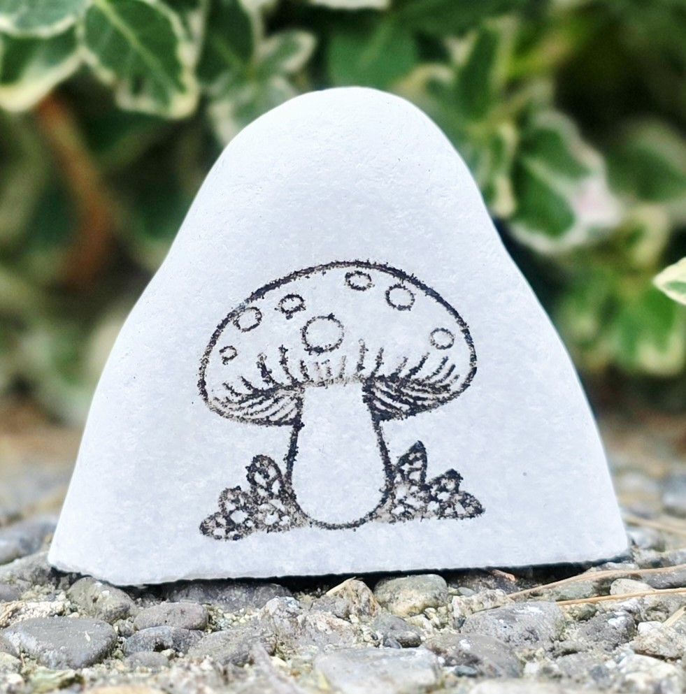 Tiny Toadstool