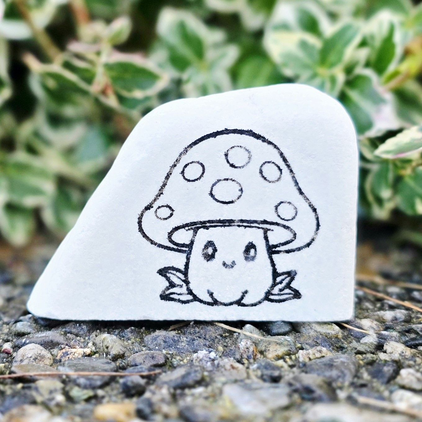 Happy little toadstool