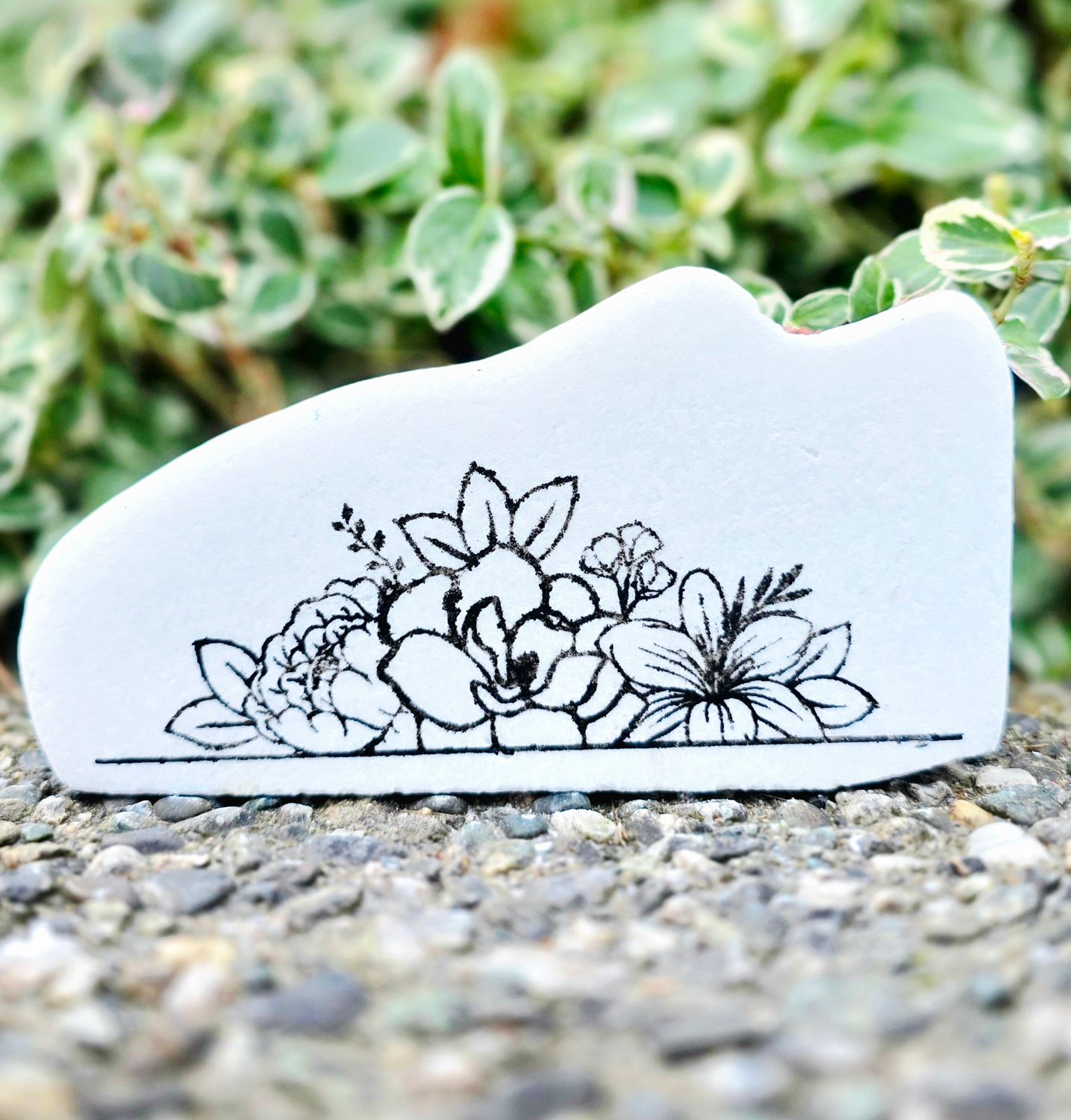 Blooms on Display Blooms on Display