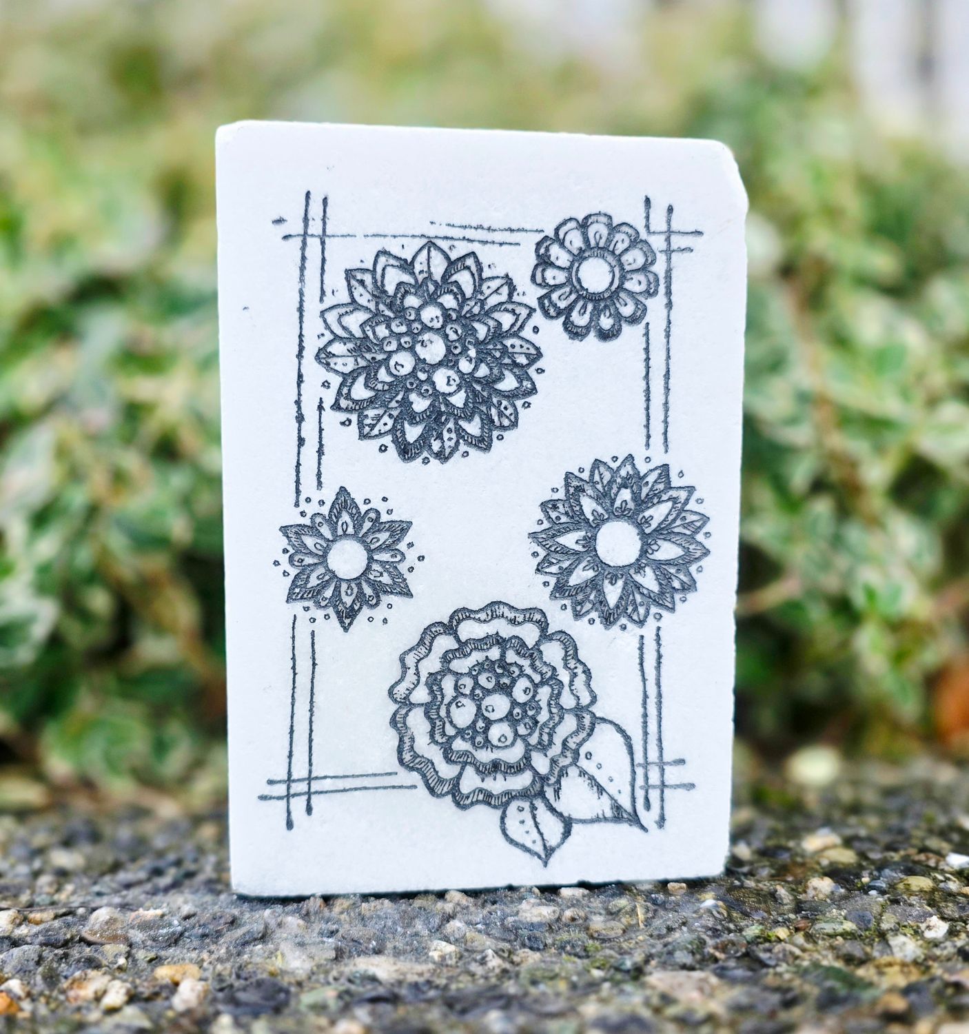 Five Blooms in Frame