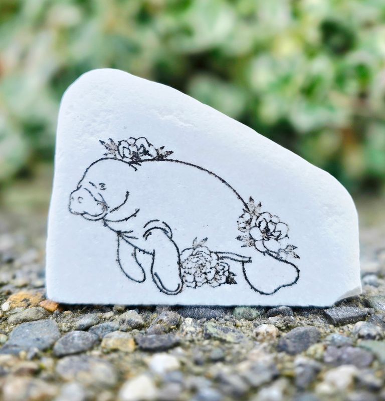 Floral Manatee