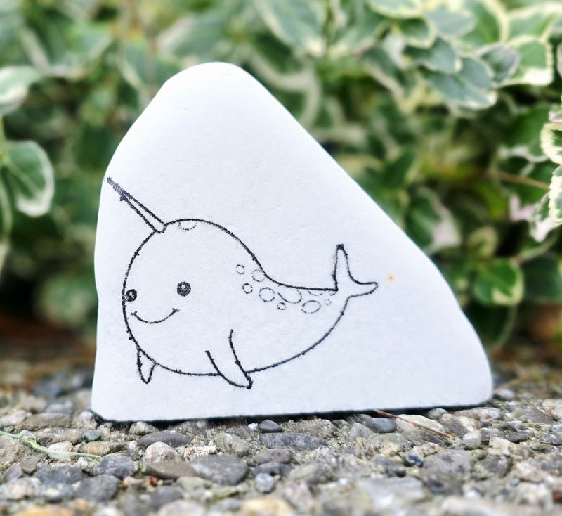 Little Narwhal