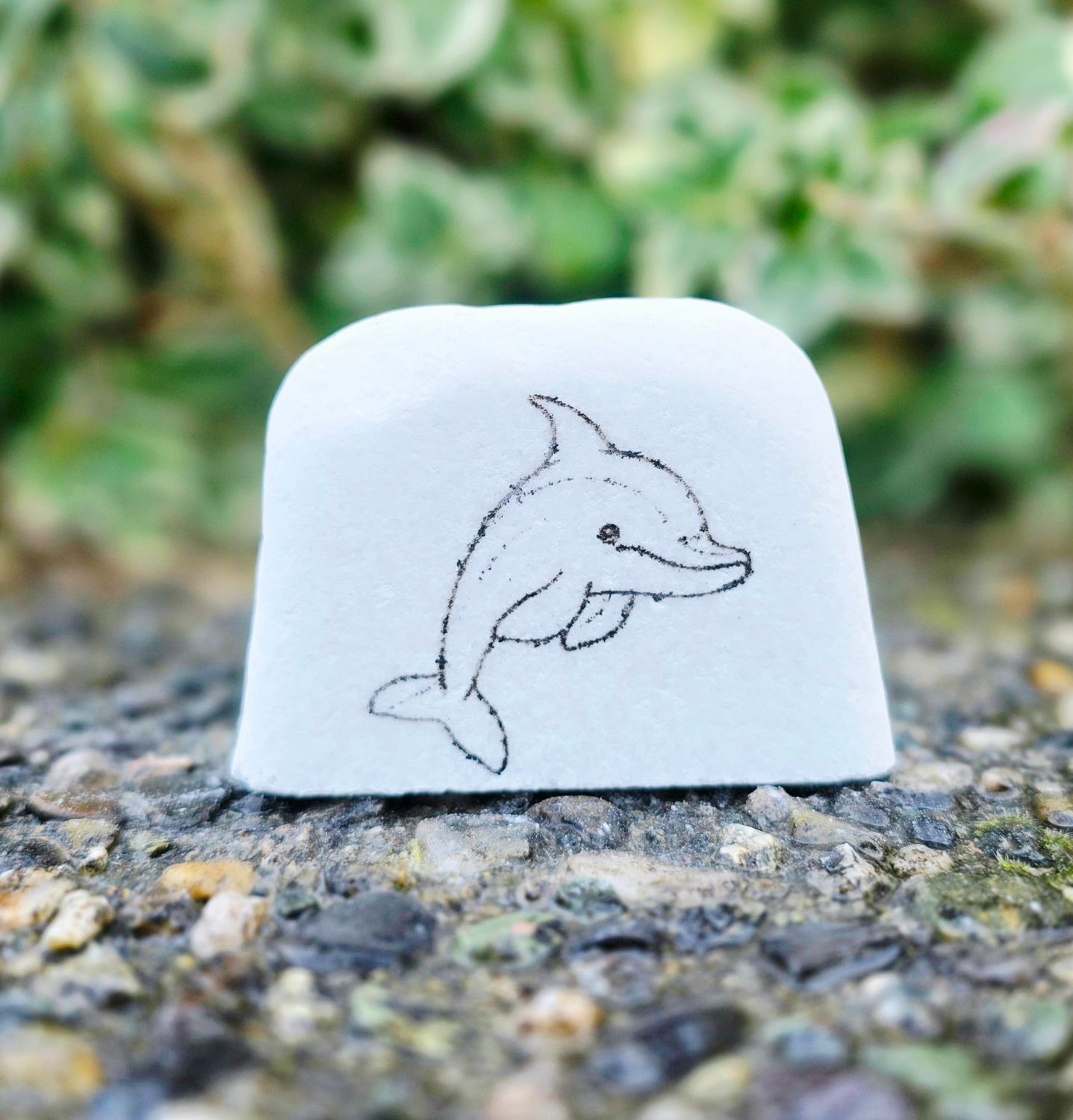 Tiny Tide Dolphin